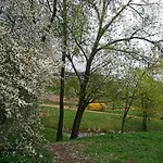 Ozo Park Apartments